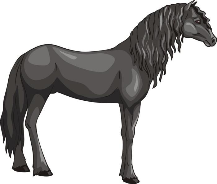 Horse Graphics - ClipArt Best