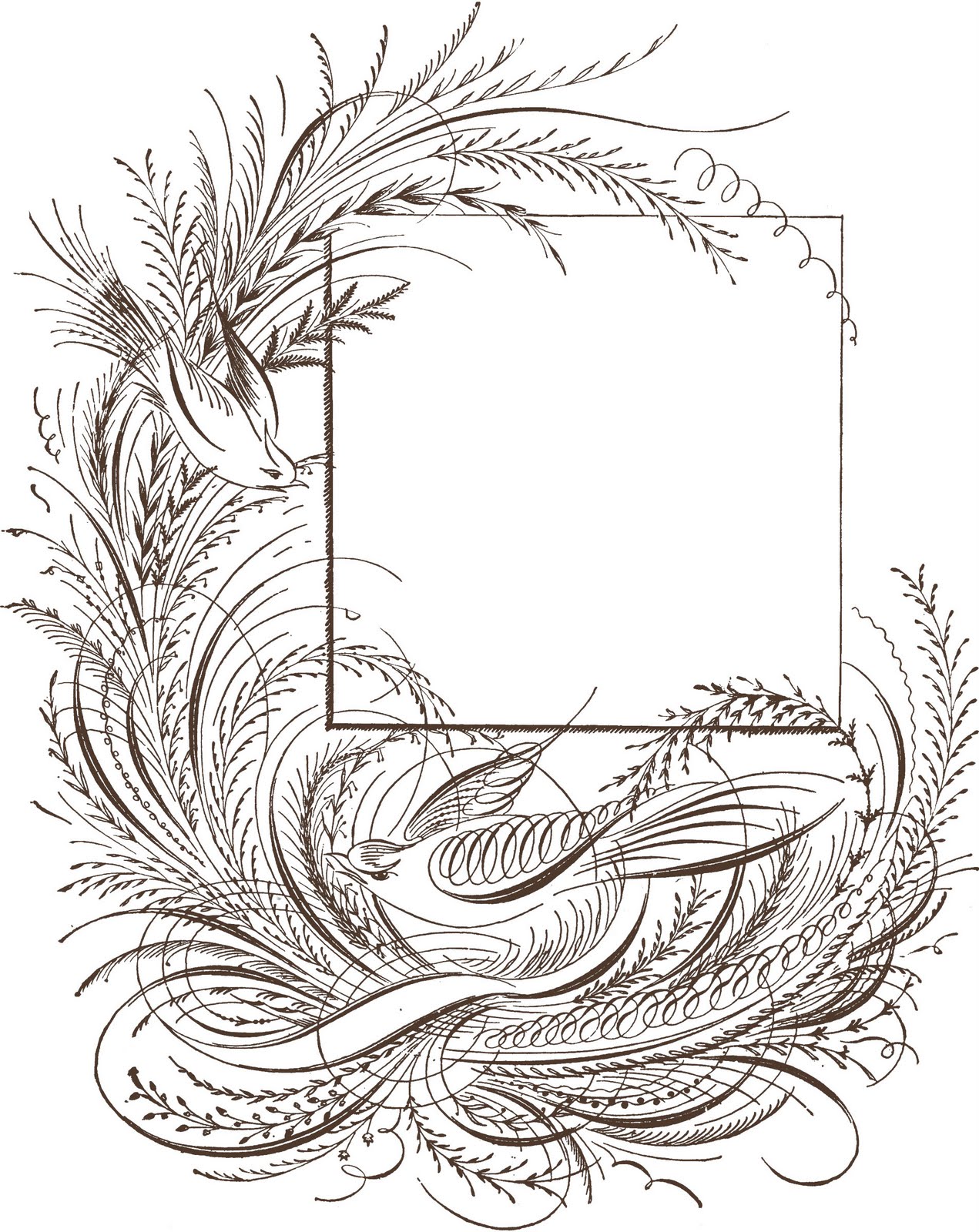 2BSquared Designs: Clip Art: Fancy Pants Flourishes