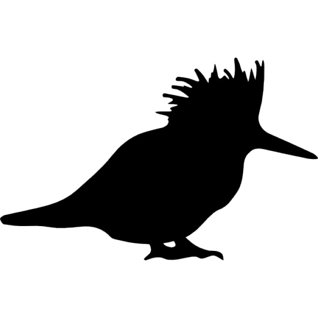 Bird silhouette Icons | Free Download