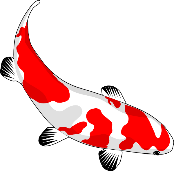 Cartoon Koi Fish