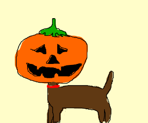 Jack the Pumpkin Head Doggy