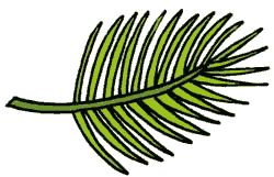 Palm leaves clip art