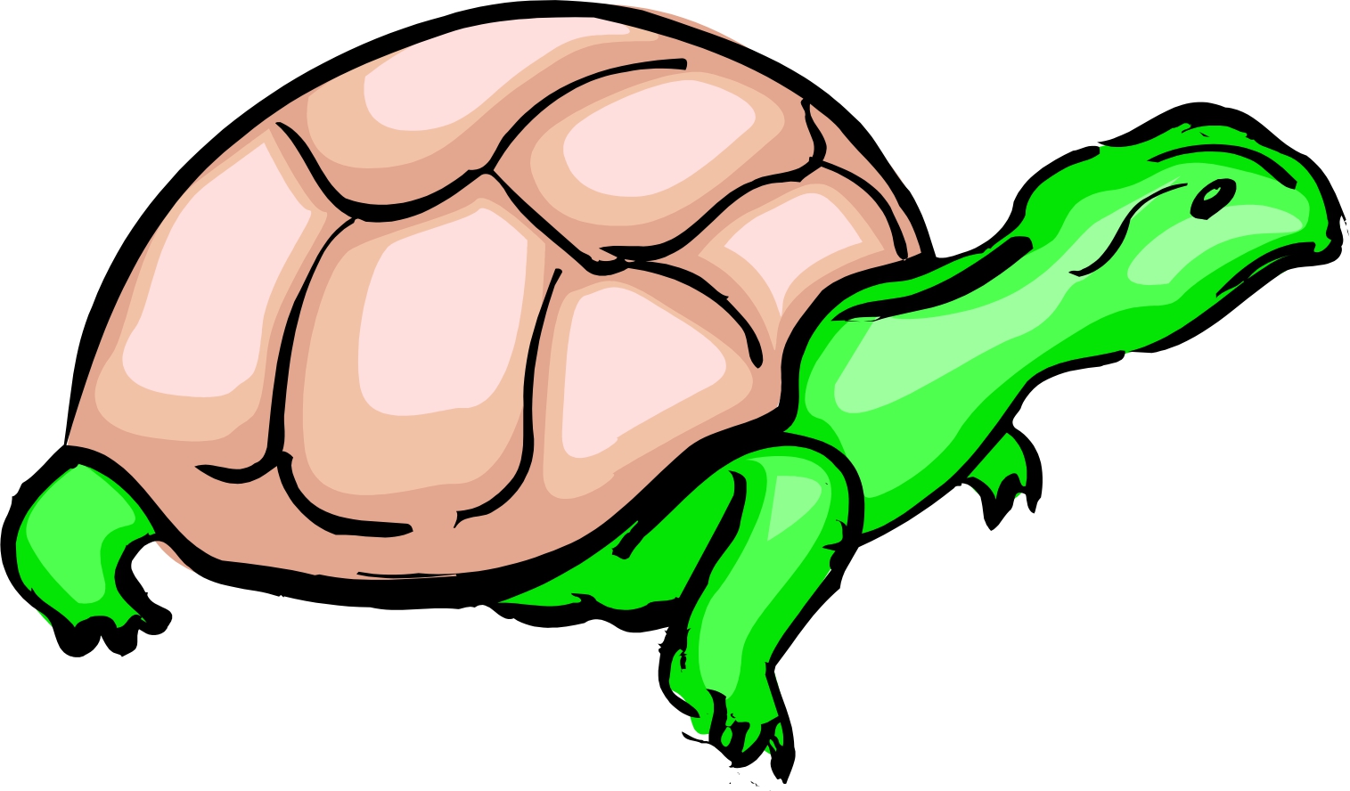 Cartoon Turtle