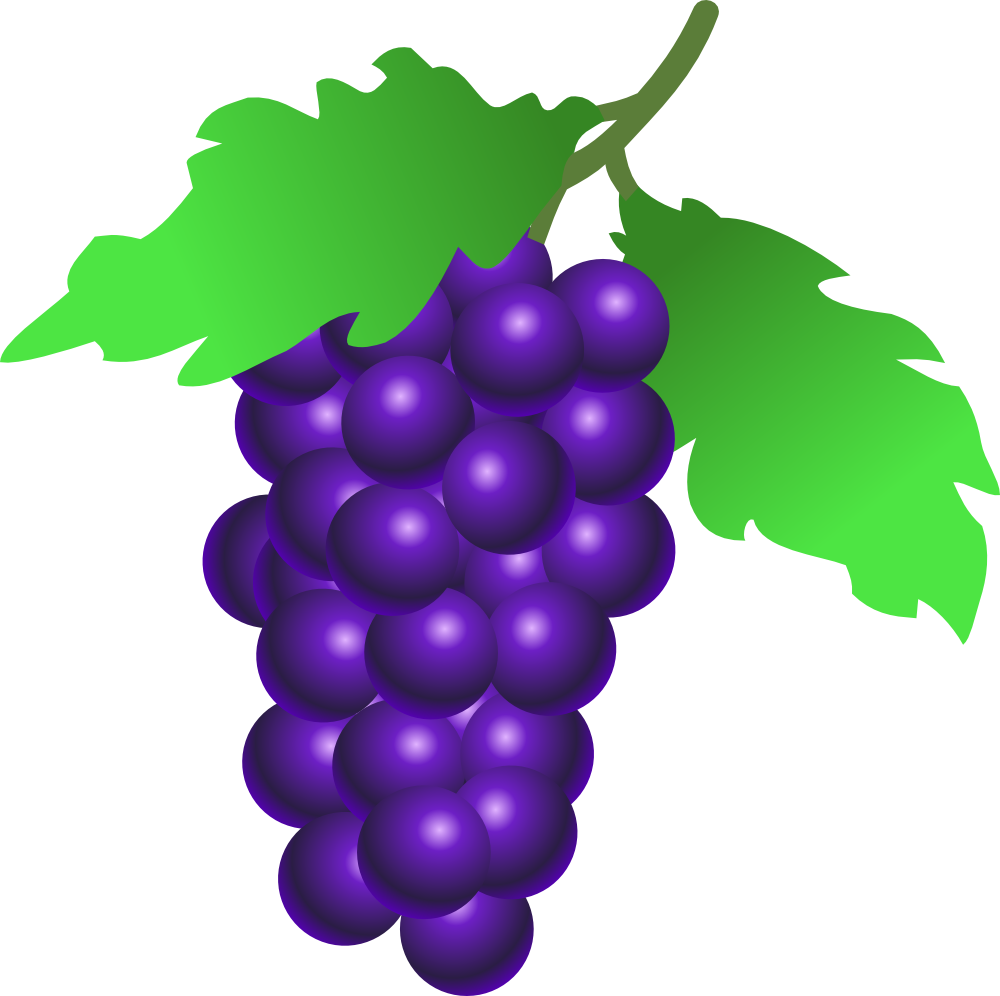 Purple grapes clipart