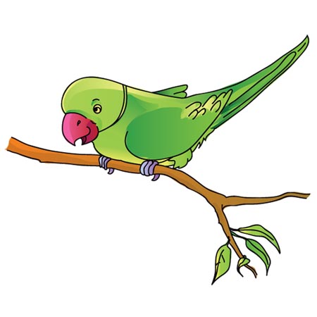 Parrot clipart images