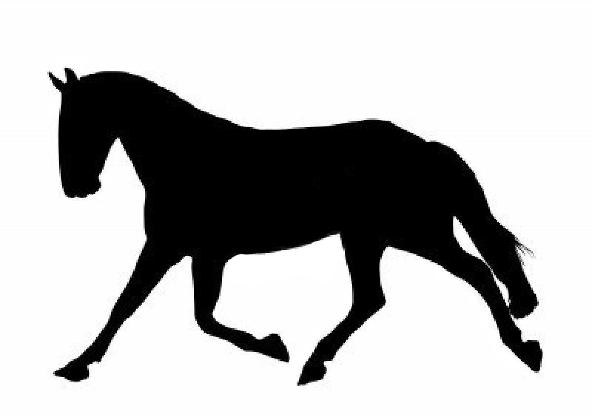 Western Dressage Clipart