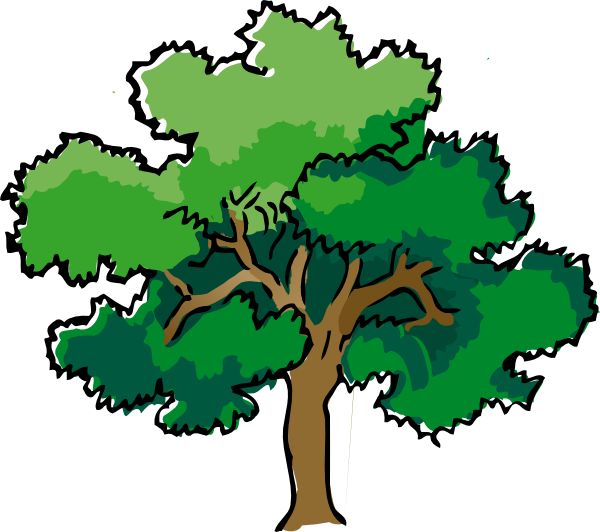 1000+ images about clip art trees