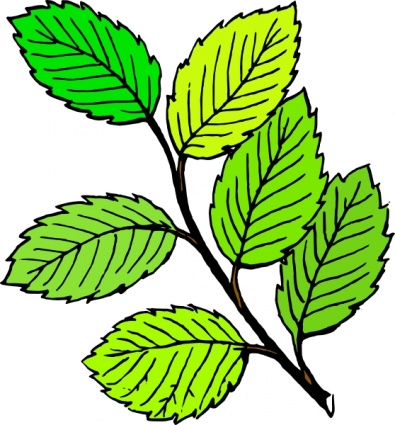 Tree Leaves Clip Art