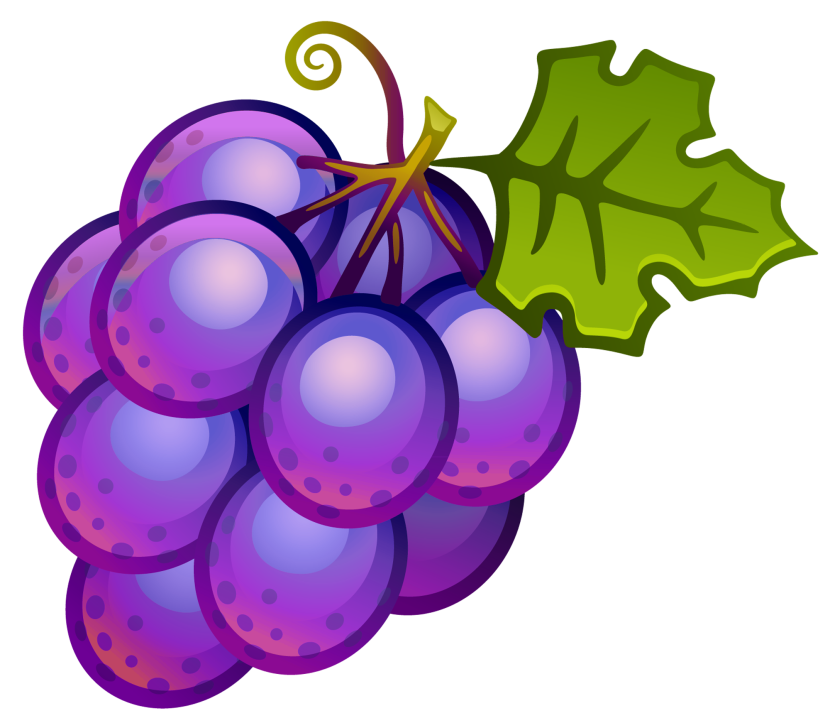 Grapes clipart free