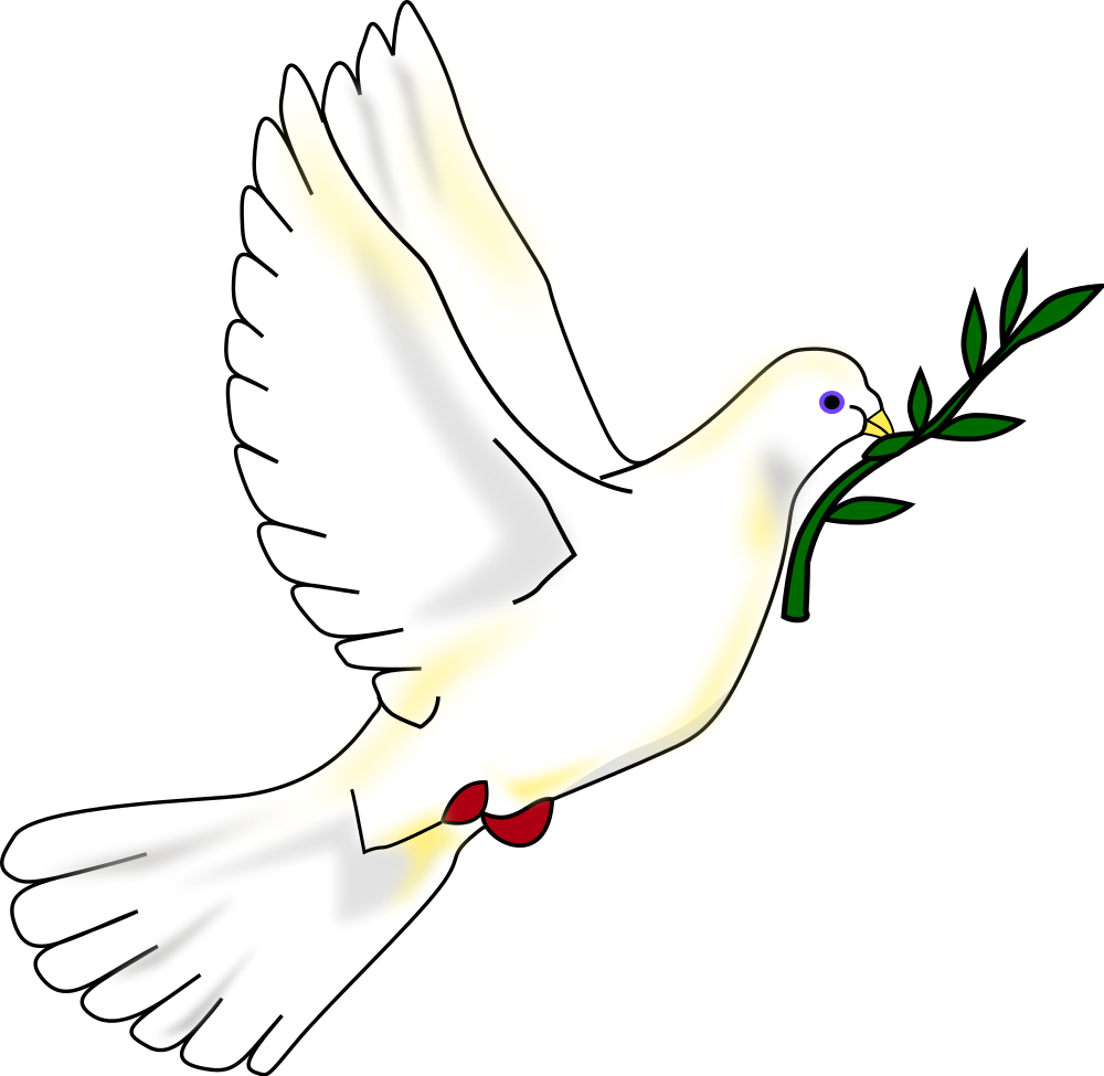 Clipart dove with olive branch