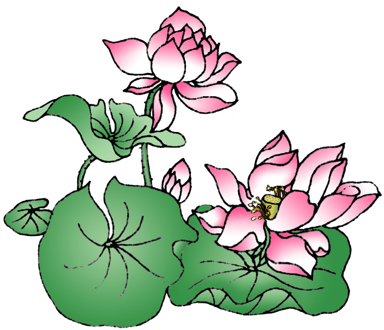 Cartoon Lotus Flower | Free Download Clip Art | Free Clip Art | on ...