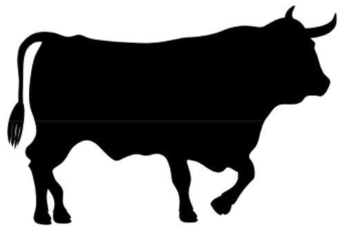 Show Cattle Clipart