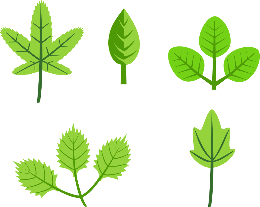 Spring Leaf Clipart - ClipArt Best