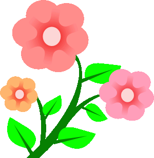 Vector dogwood flower free clipart clear background