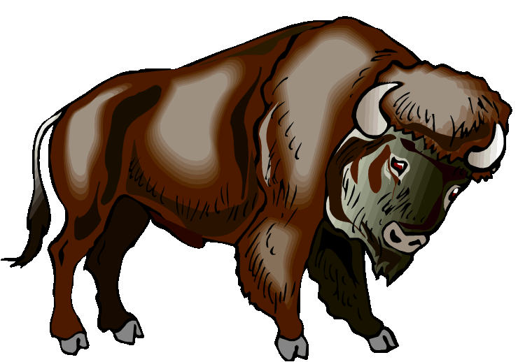 Cartoon Buffalo Clipart - Cliparts and Others Art Inspiration