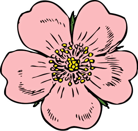 Poppy Clipart | Free Download Clip Art | Free Clip Art | on ...