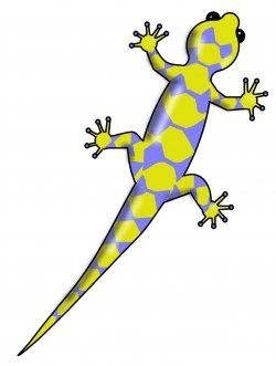 To draw, Geckos and How to draw