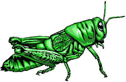 Grasshopper Cartoon | Free Download Clip Art | Free Clip Art | on ...