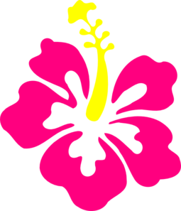 Hibiscus | High Quality Clip Art