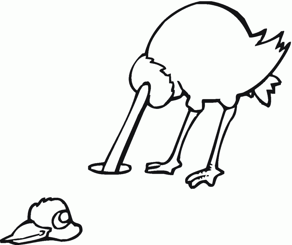 Baby Ostrich Pictures | Free Download Clip Art | Free Clip Art ...