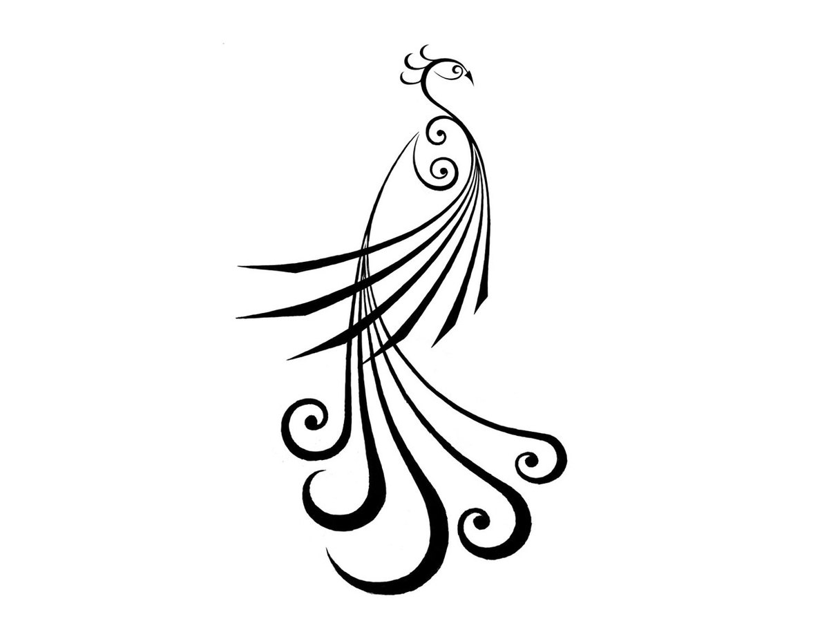 Simple Peacock Designs Clipart - Free to use Clip Art Resource