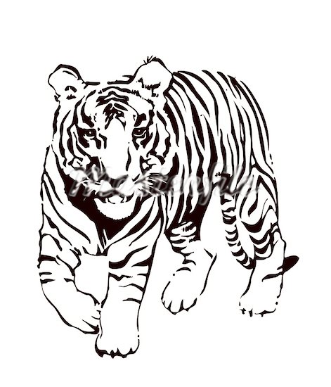 Bengal tiger clipart black and white