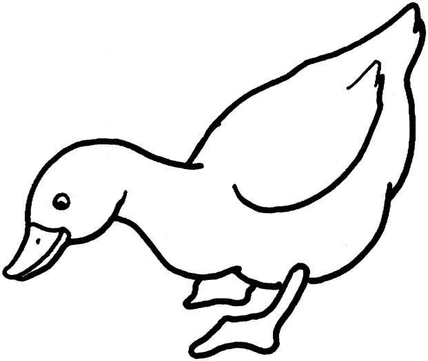 Drawing Pictures Of Ducks - ClipArt Best