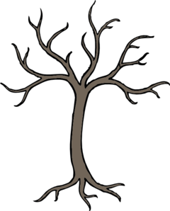 dead-tree-root-md.png