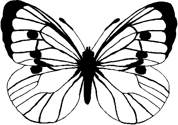 Butterfly Color Pages | Free coloring pages