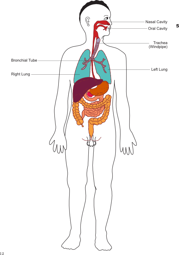 Visual Body Maps and 'Mapping Our Lives' | Centre for Social ...