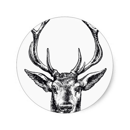 Stag Head Stickers, Stag Head Sticker Designs