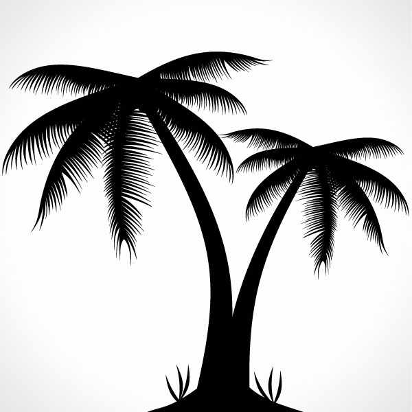 Palm tree silhouette clipart no background - ClipartFox