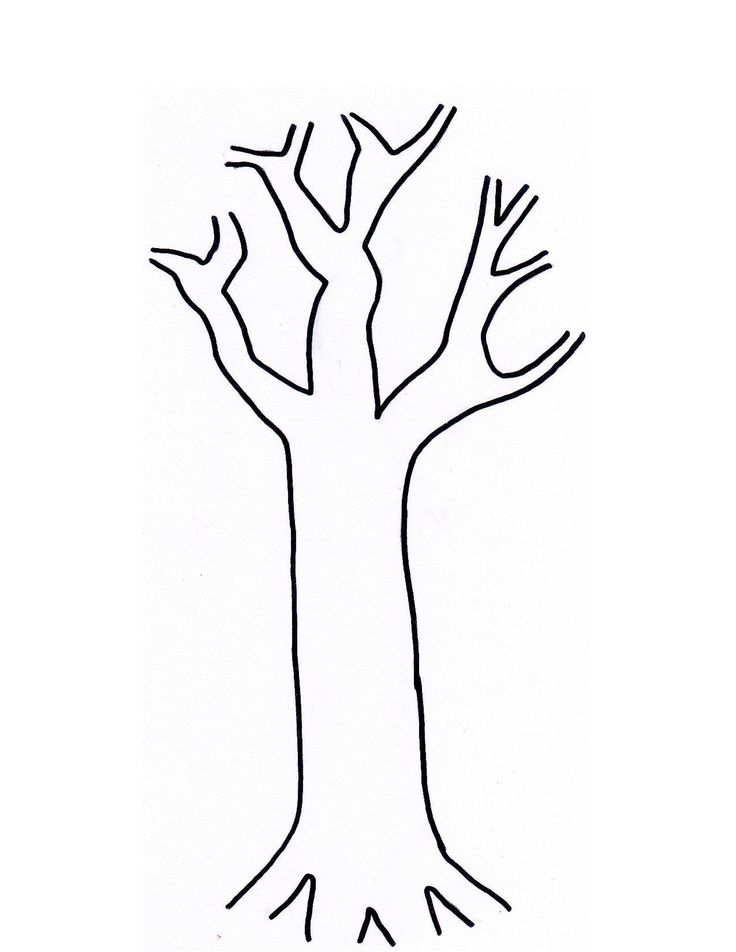 Tree Life Cycle Coloring Pages - Coloring Pages