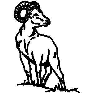 Ram The Animal Clipart