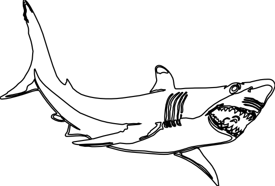 Shark black and white clipart