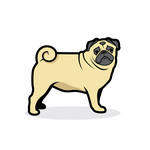 Pug Clipart | Free Download Clip Art | Free Clip Art | on Clipart ...