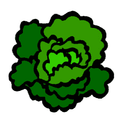 Lettuce Clipart