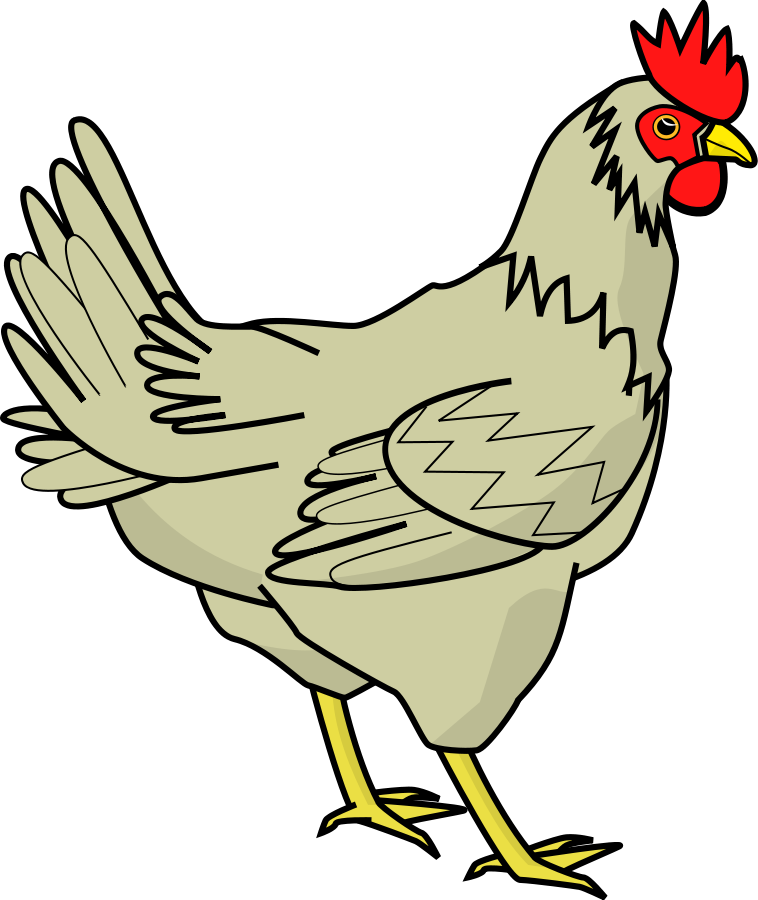 Hen clipart png