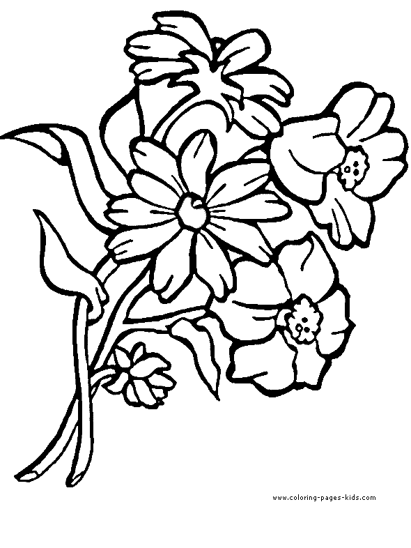 Pictures To Color Of Flowers - CartoonRocks.com