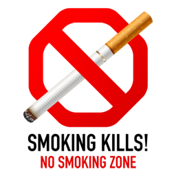Stop Smoking Symbol Icon - No Smoking Symbols - SoftIcons.com