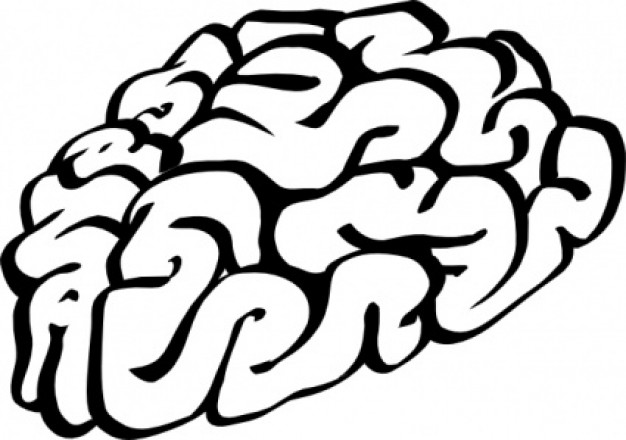 Free clip art brain