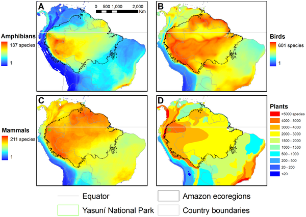 Global Conservation Significance of Ecuador's YasunÃ­ National Park