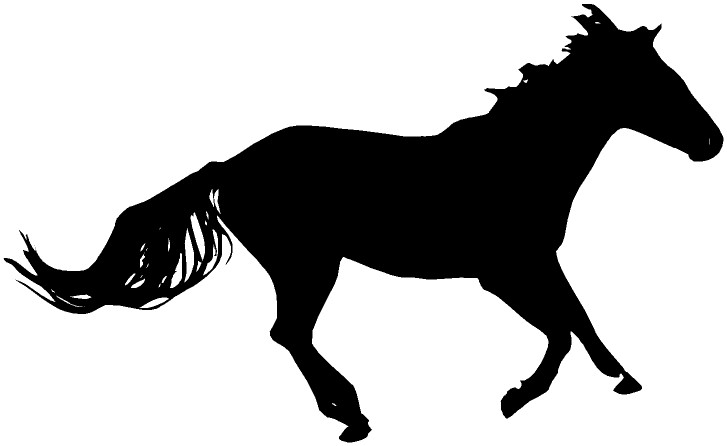 Mustang Silhouette I by Yusada