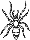 Spiders Coloring Pages