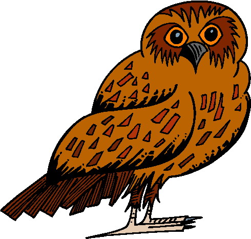 Clip Art - Clip art owls 988861