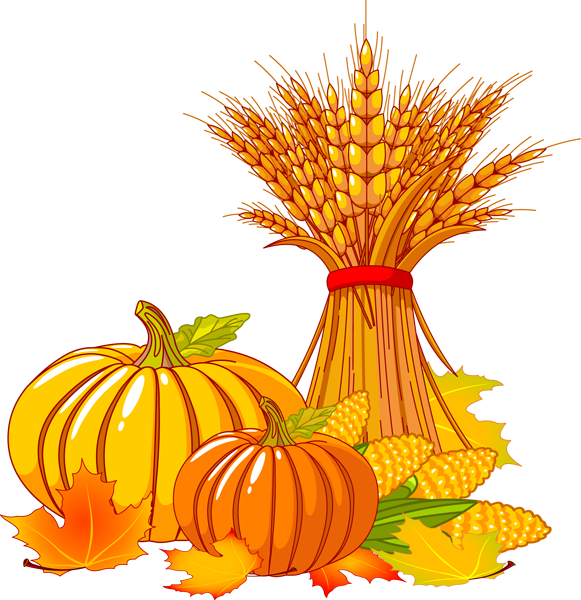 Pumpkin wheat and corn clip art clipart