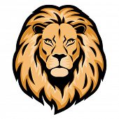 Roaring Lion Head Clip Art - Free Clipart Images