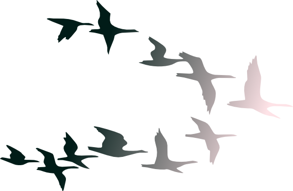 Clipart Of Birds Flying