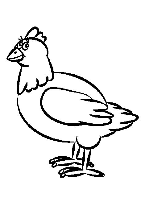 1000+ images about chicken drawings | Cartoon, A ...