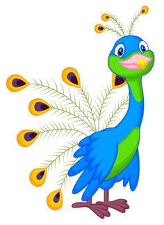 Peacock clip art at clker vector clip art 2 - Clipartix